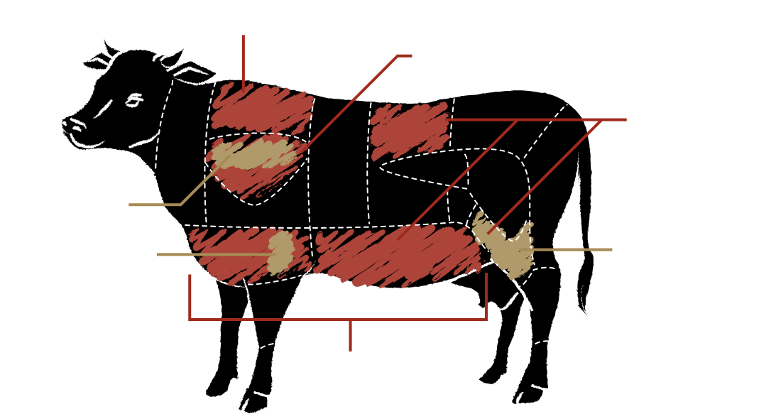 牛肉の部位の分布イラスト