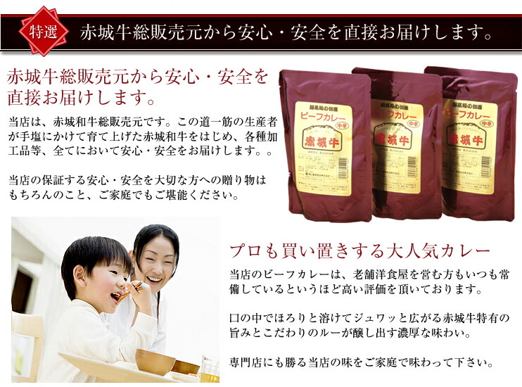 赤城牛ビーフカレー10個入り/辛口10個