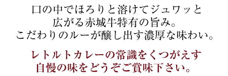 和牛ビーフカレー