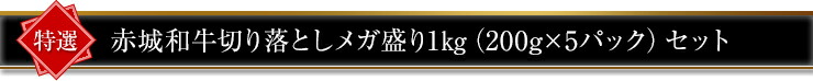 商品案内のご案内