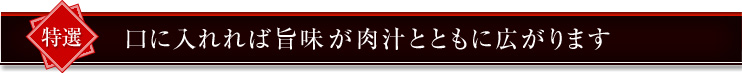 口に入れれば旨味が肉汁とともに広がります