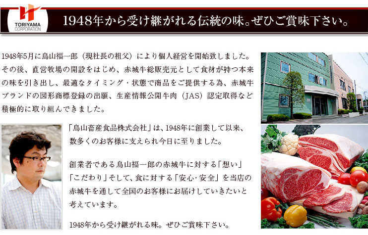 赤城牛ビーフカレー10個入り/辛口10個