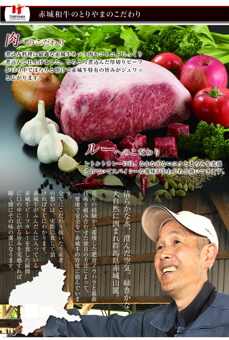 赤城牛ビーフカレー10個入り/辛口10個