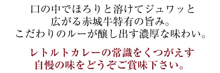 赤城牛ビーフカレー10個入り/辛口10個