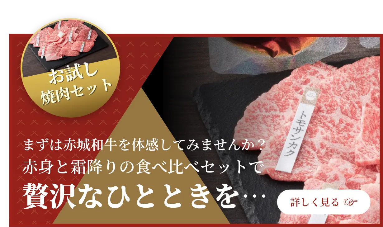 赤城和牛 赤身 霜降り 焼肉 食べ比べセット600g 赤城牛焼肉のたれ 赤城和牛専用旨みしょうゆだれ付 ￥9,800〜