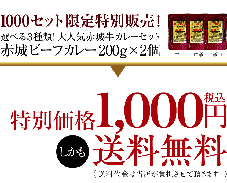 和牛ビーフカレー