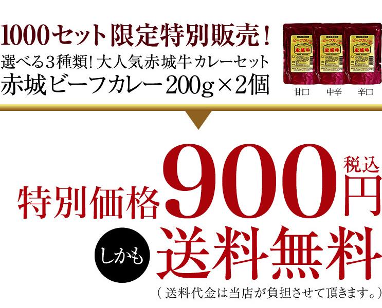 和牛ビーフカレー