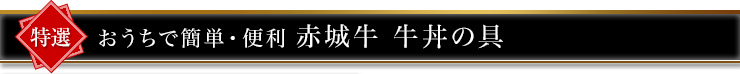 おうちで簡単・便利 赤城牛 牛丼の具160g 4個セット