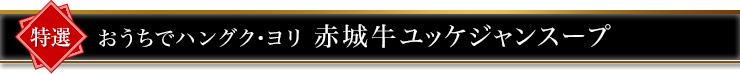 おうちでハングク・ヨリ 赤城牛ユッケジャンスープ 500g